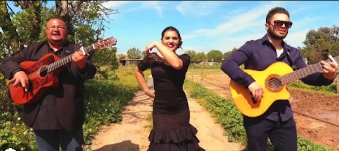 À la découverte des styles de musique Brésilienne et Catalane ! Découvrez le Samba Pagode et la Rumba Catalane !