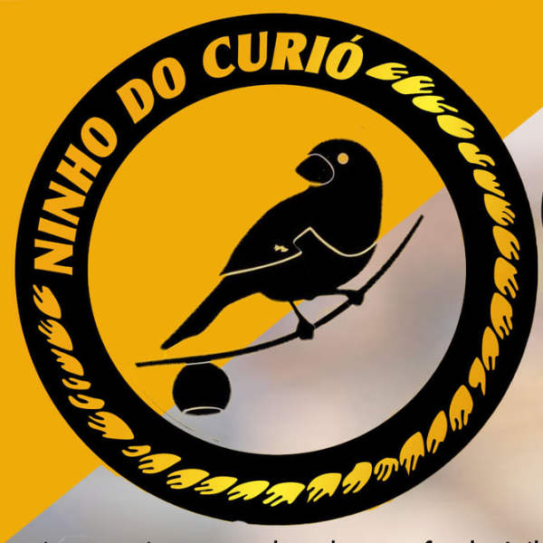 Ninho Do Curió - Catala Que Ta